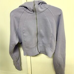 Scuba Full Zip Cropped Hoodie